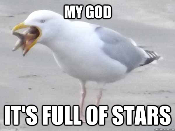 my god it's full of stars  Sassy Seagull