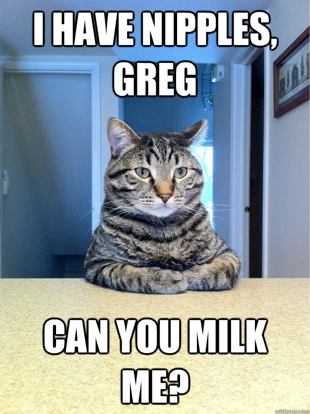 I have nipples, Greg Can you milk me?  Chris Hansen Cat