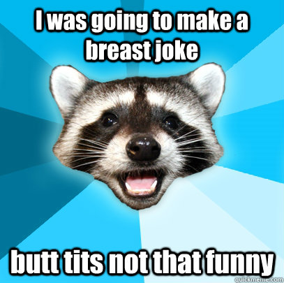 I was going to make a breast joke butt tits not that funny  Lame Pun Coon