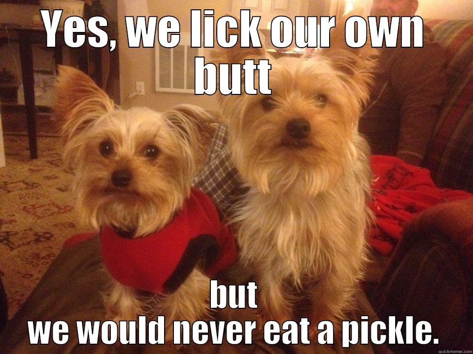 YES, WE LICK OUR OWN BUTT BUT WE WOULD NEVER EAT A PICKLE. Good Dog Greg