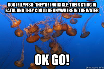 Box JellyFish: they're invisible, their sting is fatal and they could be anywhere in the water OK GO! - Box JellyFish: they're invisible, their sting is fatal and they could be anywhere in the water OK GO!  Box Jellyfish
