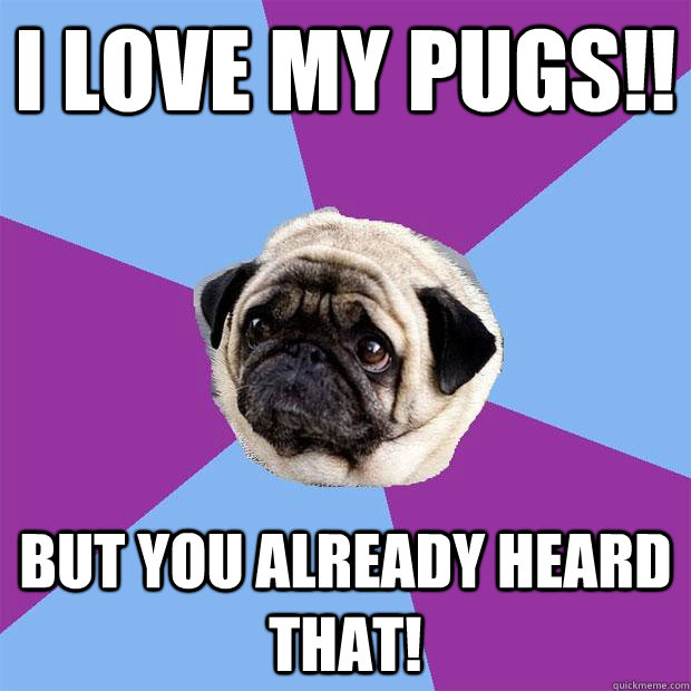 I LOVE MY PUGS!! BUT YOU ALREADY HEARD THAT!  Lonely Pug