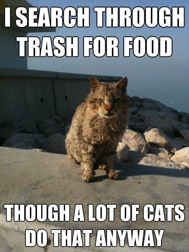 i search through trash for food though a lot of cats do that anyway - i search through trash for food though a lot of cats do that anyway  Bitter Cat