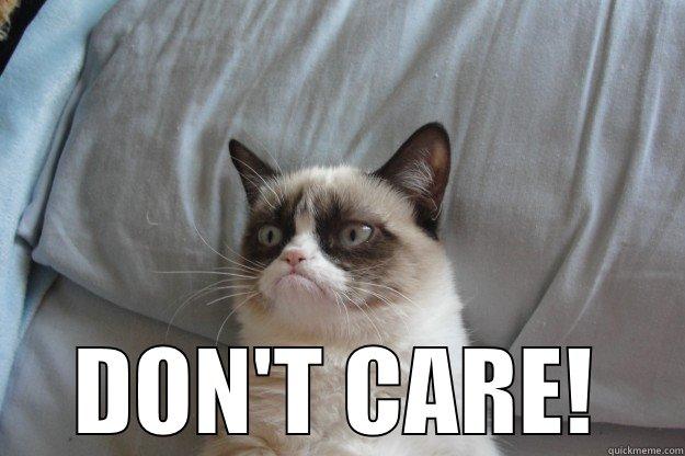  DON'T CARE! Grumpy Cat