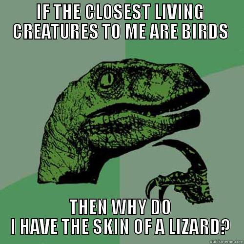IF THE CLOSEST LIVING CREATURES TO ME ARE BIRDS THEN WHY DO I HAVE THE SKIN OF A LIZARD? Philosoraptor