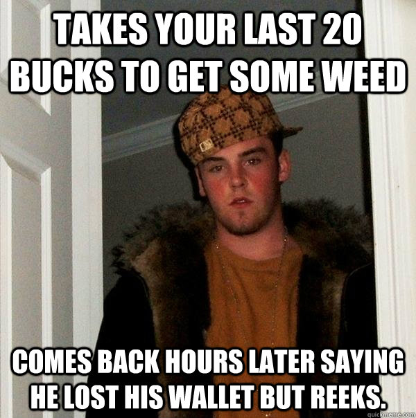 Takes your last 20 bucks to get some weed Comes back hours later saying he lost his wallet but reeks.  Scumbag Steve