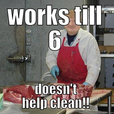 WORKS TILL 6 DOESN'T HELP CLEAN!! Misc