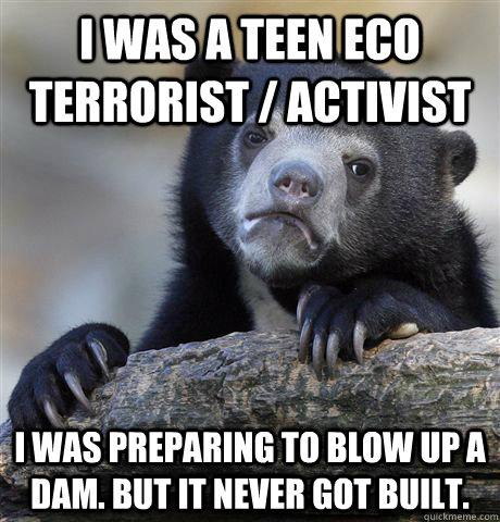 I was a teen eco terrorist / activist i was preparing to blow up a dam. But it never got built.  Confession Bear