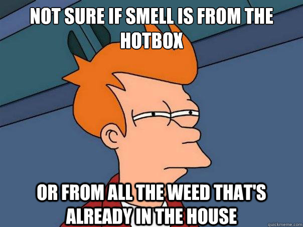 Not sure if smell is from the hotbox or from all the weed that's already in the house  Futurama Fry
