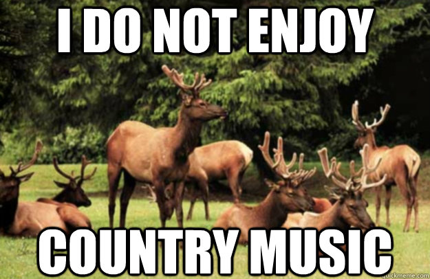 I DO NOT ENJOY COUNTRY MUSIC  