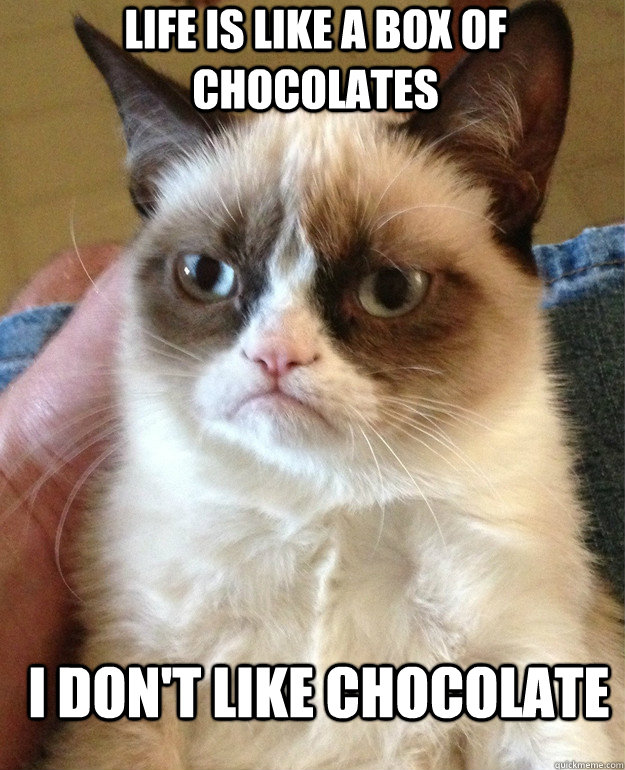 Life is like a box of chocolates i don't like chocolate - Life is like a box of chocolates i don't like chocolate  Grumpy Cat