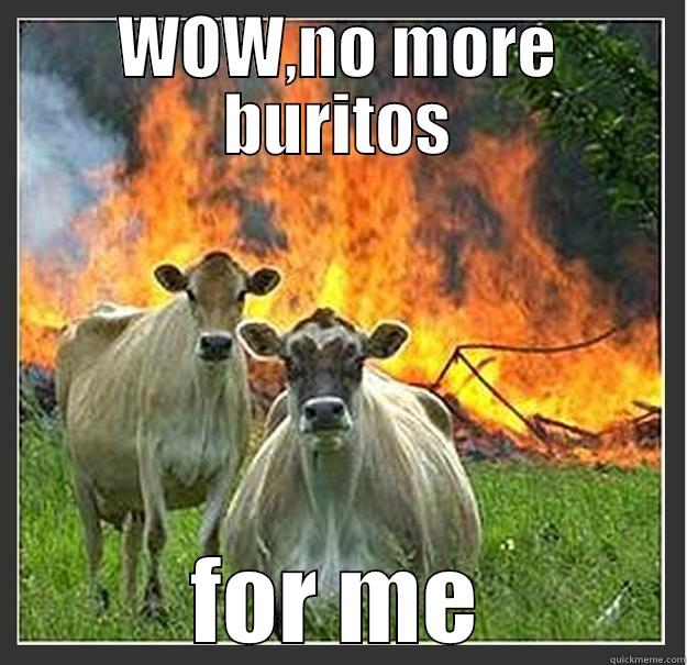 WOW,NO MORE BURITOS FOR ME Evil cows