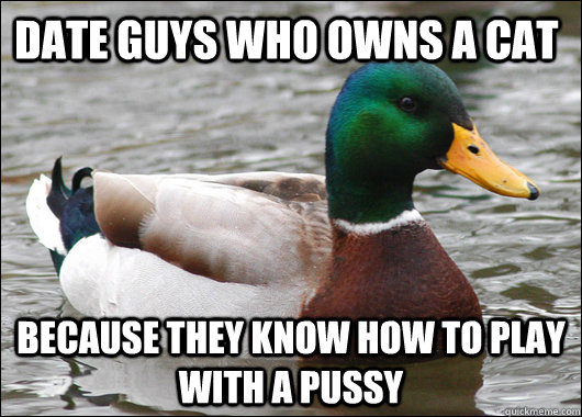 Date guys who owns a cat because they know how to play with a pussy  Actual Advice Mallard