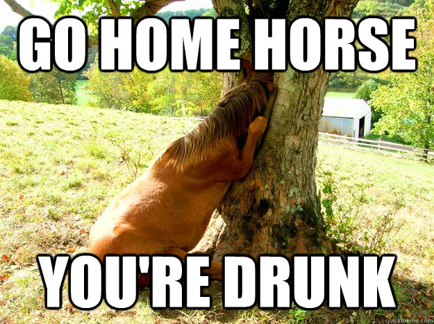 Go home horse You're drunk  