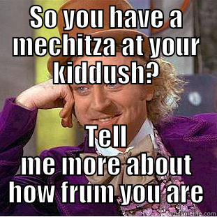 SO YOU HAVE A MECHITZA AT YOUR KIDDUSH? TELL ME MORE ABOUT HOW FRUM YOU ARE Condescending Wonka