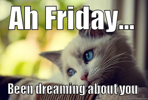 AH FRIDAY... BEEN DREAMING ABOUT YOU First World Problems Cat