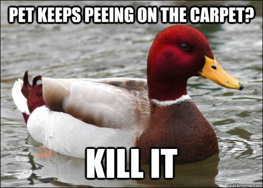 pet keeps peeing on the carpet? kill it  Malicious Advice Mallard
