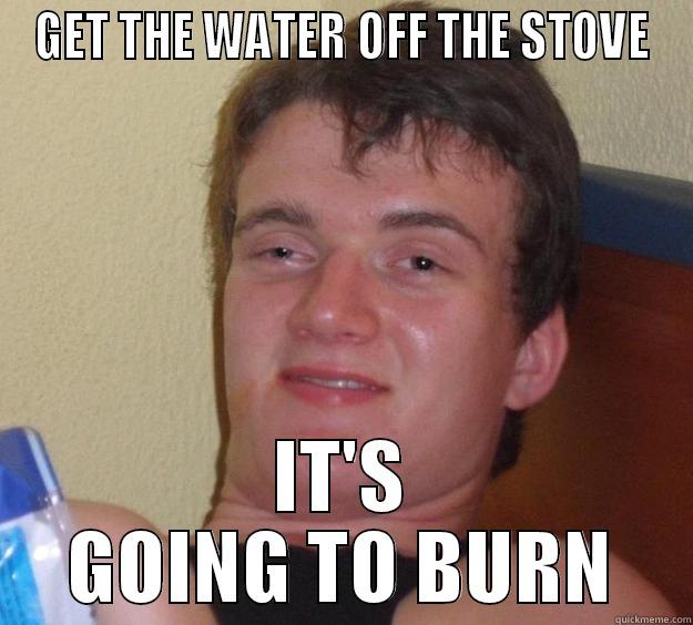 GET THE WATER OFF THE STOVE IT'S GOING TO BURN 10 Guy