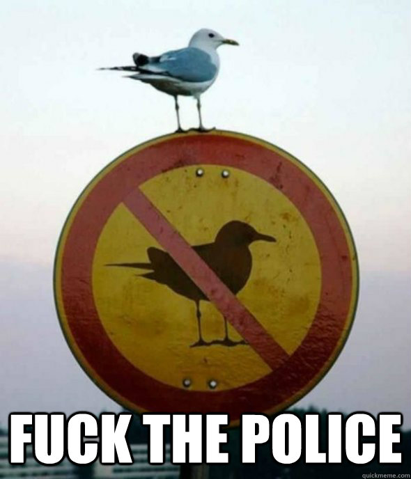  FUCK THE POLICE  Badass Bird