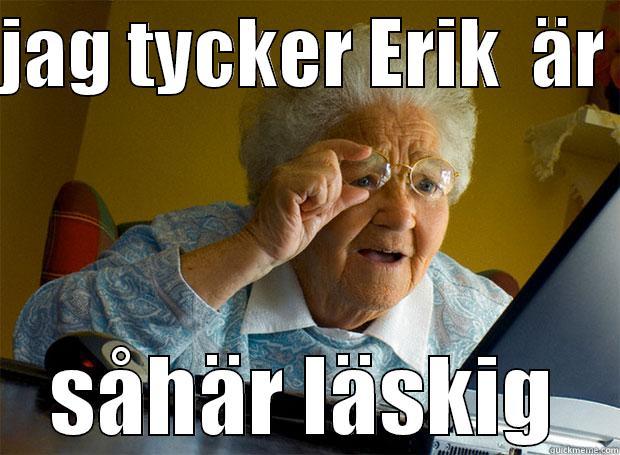 JAG TYCKER ERIK  ÄR  SÅHÄR LÄSKIG Grandma finds the Internet