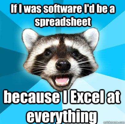 If I was software I'd be a spreadsheet  because I Excel at everything - If I was software I'd be a spreadsheet  because I Excel at everything  Lame Pun Coon