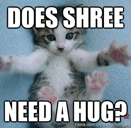 Does Shree need a hug?  Hugging Cat