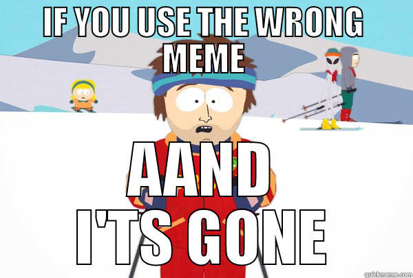 IF YOU USE THE WRONG MEME AAND I'TS GONE Super Cool Ski Instructor