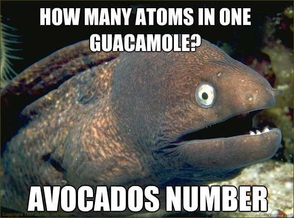 Avocados number How many atoms in one guacamole?  Bad Joke Eel