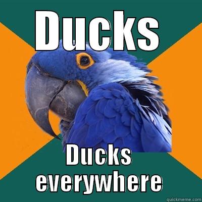 DUCKS DUCKS EVERYWHERE Paranoid Parrot