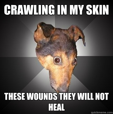 crawling in my skin these wounds they will not heal - crawling in my skin these wounds they will not heal  Depression Dog