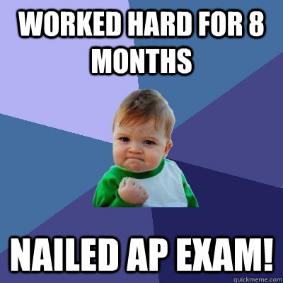 Worked hard for 8 months Nailed AP Exam!  Success Kid