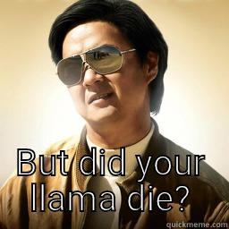  BUT DID YOUR LLAMA DIE? Mr Chow