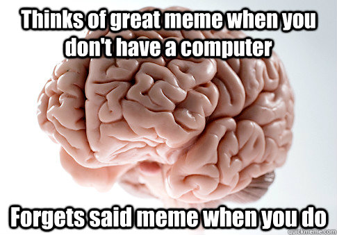 Thinks of great meme when you don't have a computer Forgets said meme when you do  Scumbag Brain