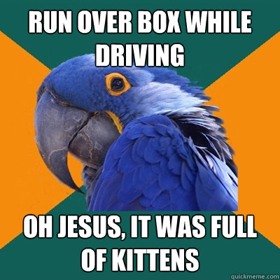 Run over box while driving Oh jesus, it was full of kittens  Paranoid Parrot