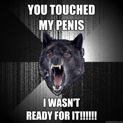 YOU TOUCHED 
MY PENIS I WASN'T 
READY FOR IT!!!!!!  Insanity Wolf