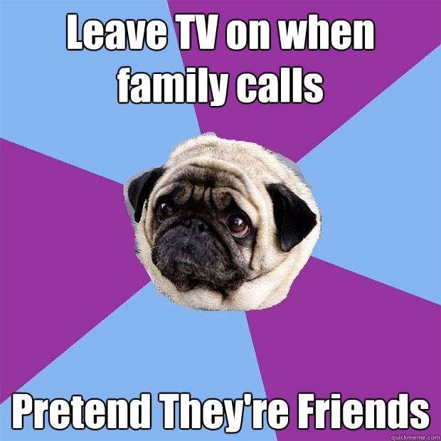 Leave TV on when family calls Pretend They're Friends  Lonely Pug