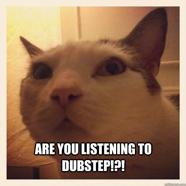 ARE YOU LISTENING TO DUBSTEP!?! - ARE YOU LISTENING TO DUBSTEP!?!  dubstep cat