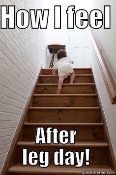 After leg day - HOW I FEEL  AFTER LEG DAY! Misc