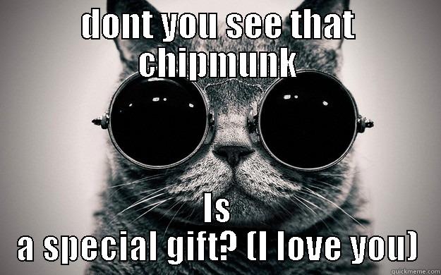 a gift - DONT YOU SEE THAT CHIPMUNK IS A SPECIAL GIFT? (I LOVE YOU) Morpheus Cat Facts