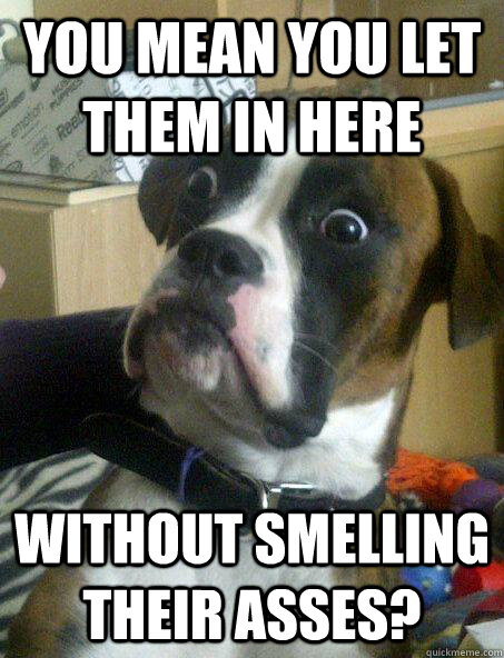 You mean you let them in here without smelling their asses? - You mean you let them in here without smelling their asses?  Shocked Dog