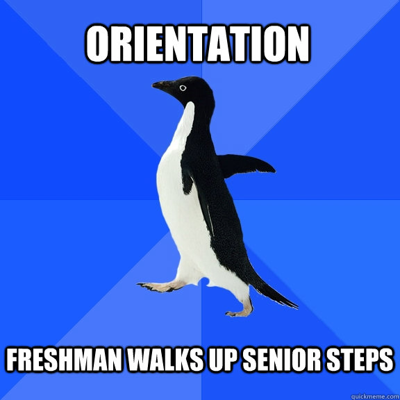 Orientation  freshman walks up senior steps   Socially Awkward Penguin