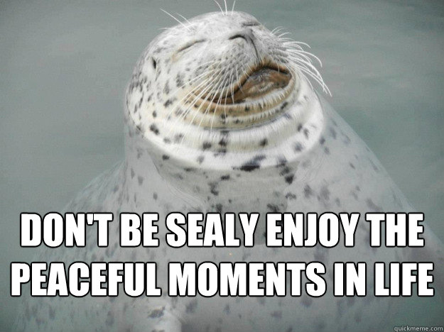Don't be sealy enjoy the peaceful moments in life  Zen Seal
