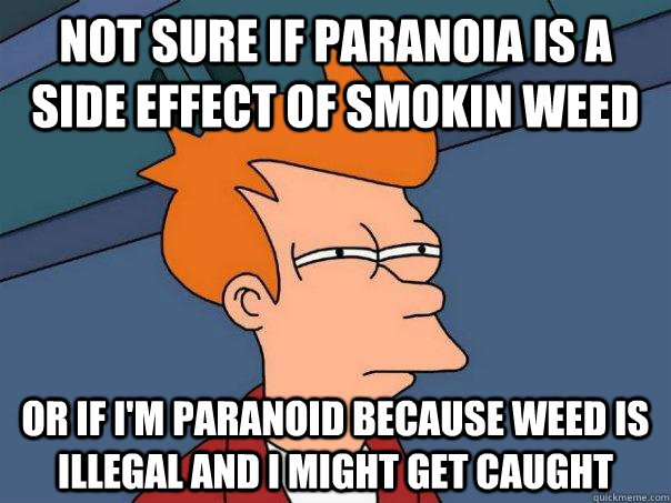 Not sure if paranoia is a side effect of smokin weed or if i'm paranoid because weed is illegal and i might get caught  Futurama Fry