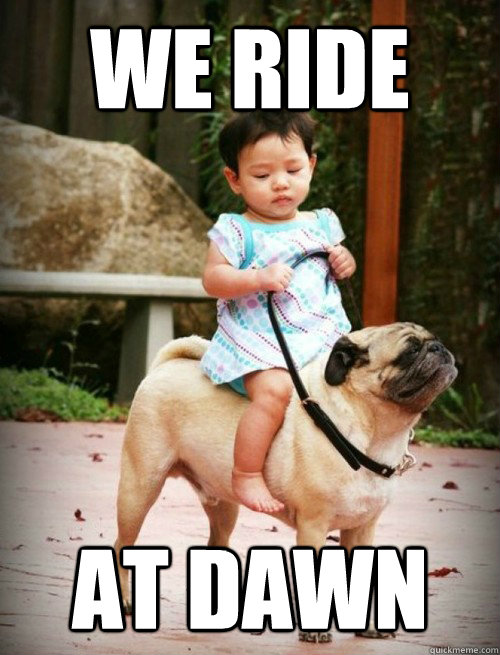 WE RIDE AT DAWN  