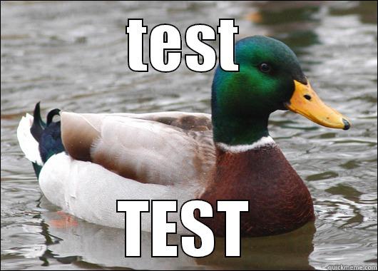 TEST TEST Actual Advice Mallard