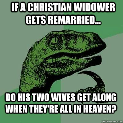 If a Christian widower gets remarried... do his two wives get along when they're all in heaven?    velociraptor thinking