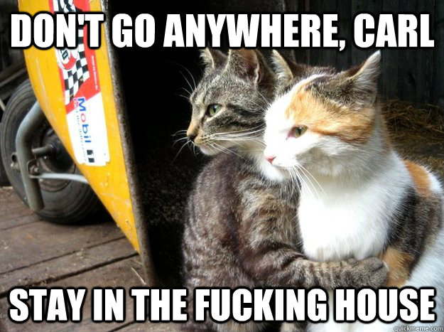 don't go anywhere, carl stay in the fucking house - don't go anywhere, carl stay in the fucking house  Restraining Cat