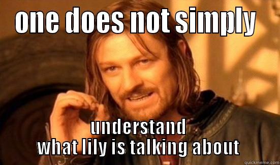 ONE DOES NOT SIMPLY  UNDERSTAND WHAT LILY IS TALKING ABOUT Boromir