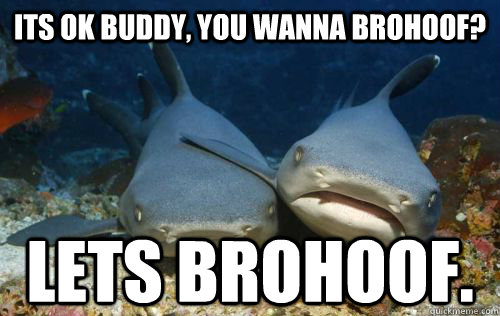 its ok buddy, you wanna brohoof? lets brohoof.  Compassionate Shark Friend