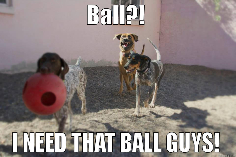 GIVE ME BALL GUYS. - BALL?! I NEED THAT BALL GUYS! Misc